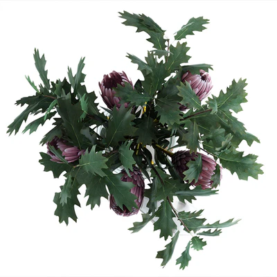 Protea & Oak leaves — Ver 3