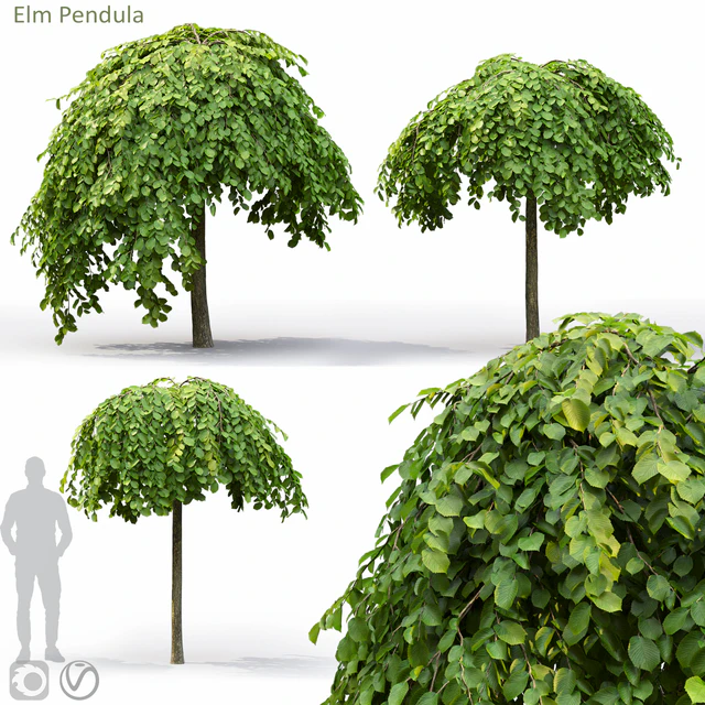 Elm — Скачать