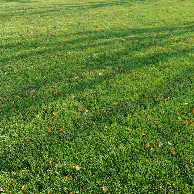 Cut grass — Скачать