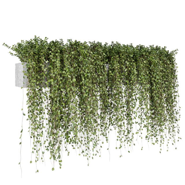 Hanging Plants in rusty Concrete Pot - Set 509 — Descargar