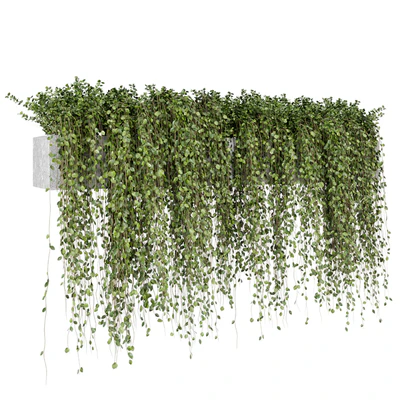 Hanging Plants in rusty Concrete Pot - Set 509 — Ver 7