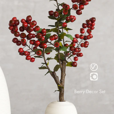 Decorative set with berries — Ver 5