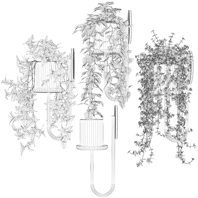Ампельные растения в настенных кашпо CIGALES WALL От Miniforms — Вид 4