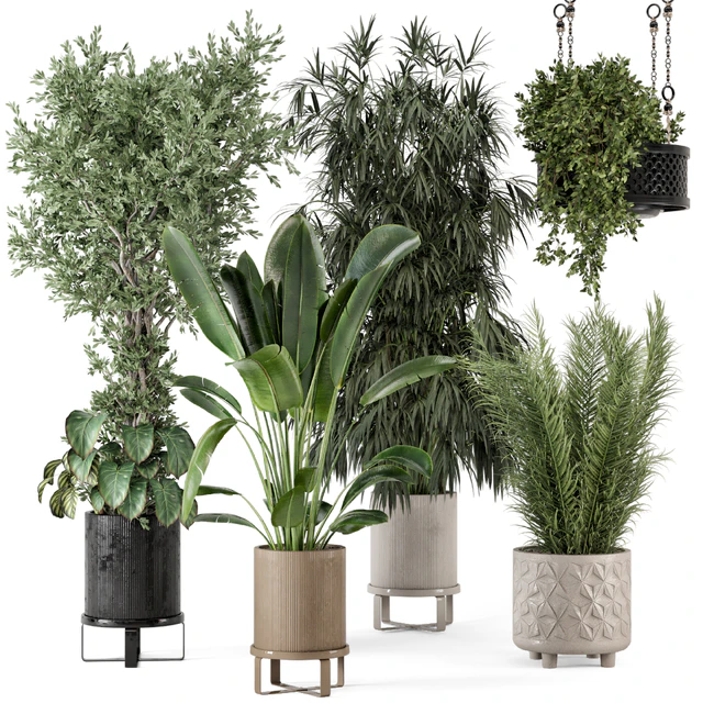 Indoor Plants in Ferm Living Bau Pot Large - Set 474 — Descargar