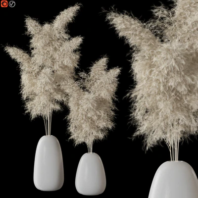 Decorative Pampas — Ver 1