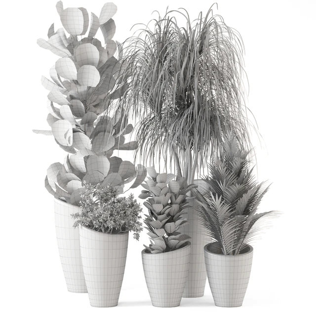 Indoor Plants in rusty Concrete Pot - Set 240 — Descargar