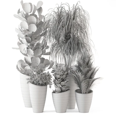 Indoor Plants in rusty Concrete Pot - Set 240 — Ver 7