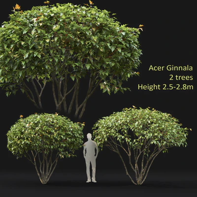 Acer — descargar
