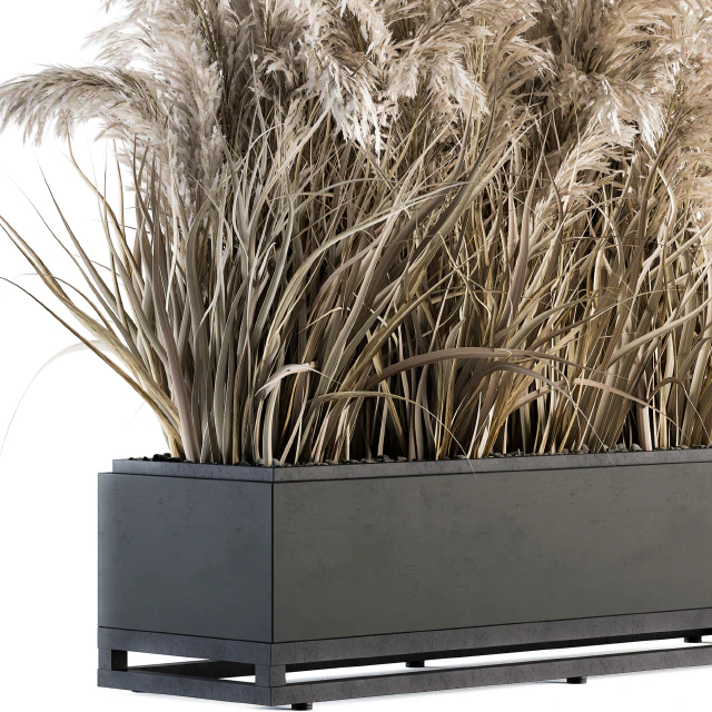 indoor Plant Set 131 - Dried Plant box — Descargar