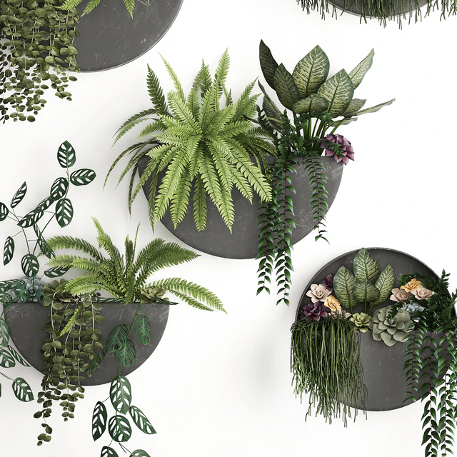 Vertical gardening. 56 Garden, wall decor, ferns, succulents, black metal shelf, flowers, loft, hanging plants, hanging down — Descargar