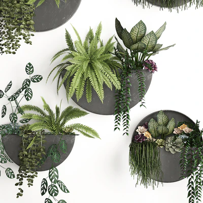 Vertical gardening. 56 Garden, wall decor, ferns, succulents, black metal shelf, flowers, loft, hanging plants, hanging down — Ver 5
