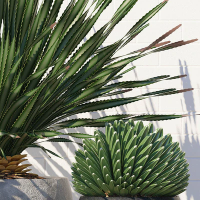 PLANTS 167 — Ver 3