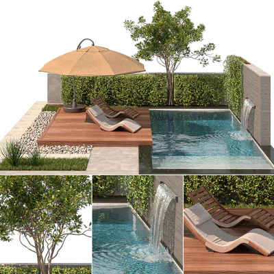 Backyard with Pool & plants & Furniture — Ver 1