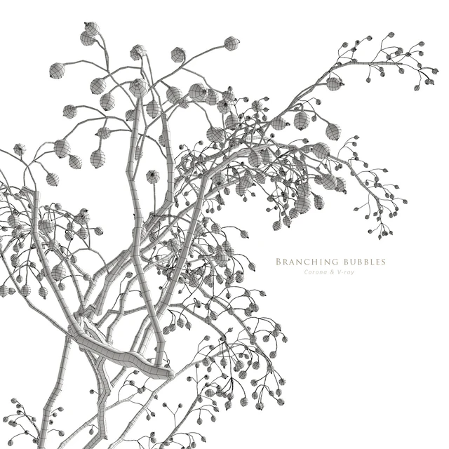 Branching bubbles — Скачать