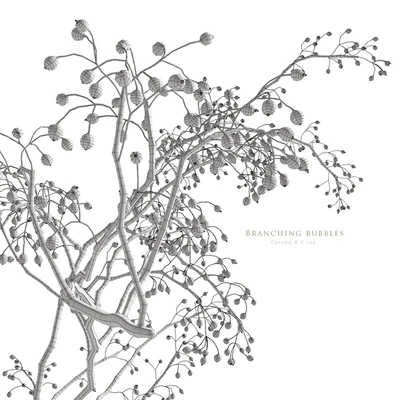 Branching bubbles — Вид 6