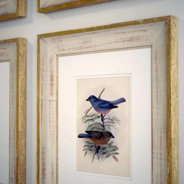 Paintings framed vintage — Descargar