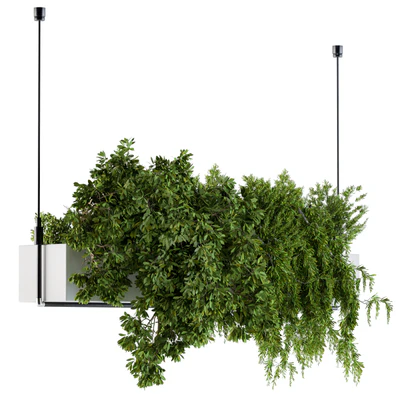 Hanging box plant - Set 70 — Ver 1