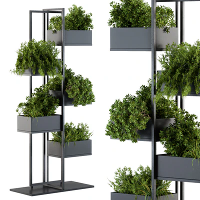Black Box Plants on stand 03 — Ver 1