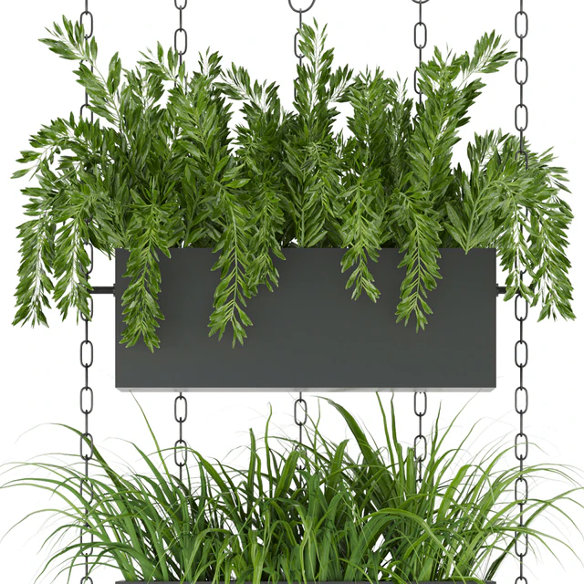Collection plant vol 85 — Скачать