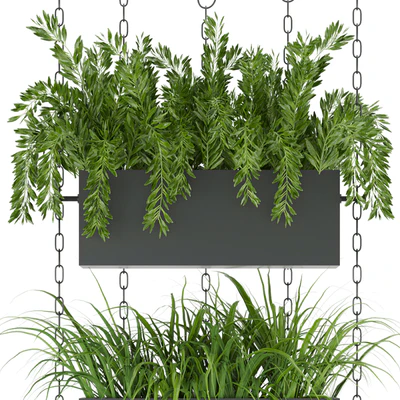 Collection plant vol 85 — Вид 4