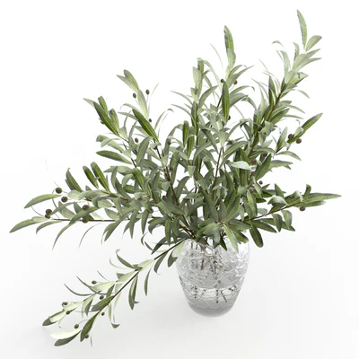 Olive branches in a vase — Ver 5