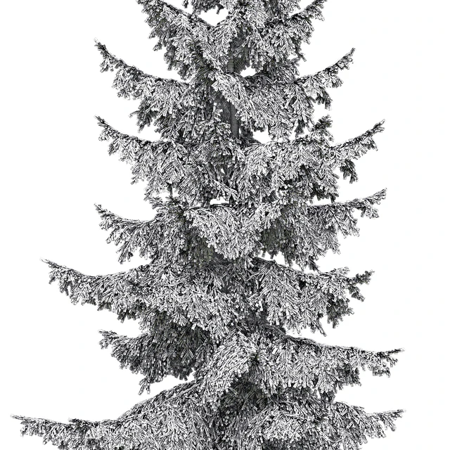 Spruce — Скачать
