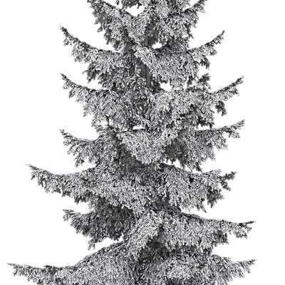 Spruce — Вид 3