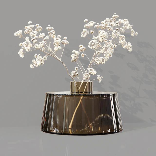 Collaction Indoor Plants 07 — Скачать