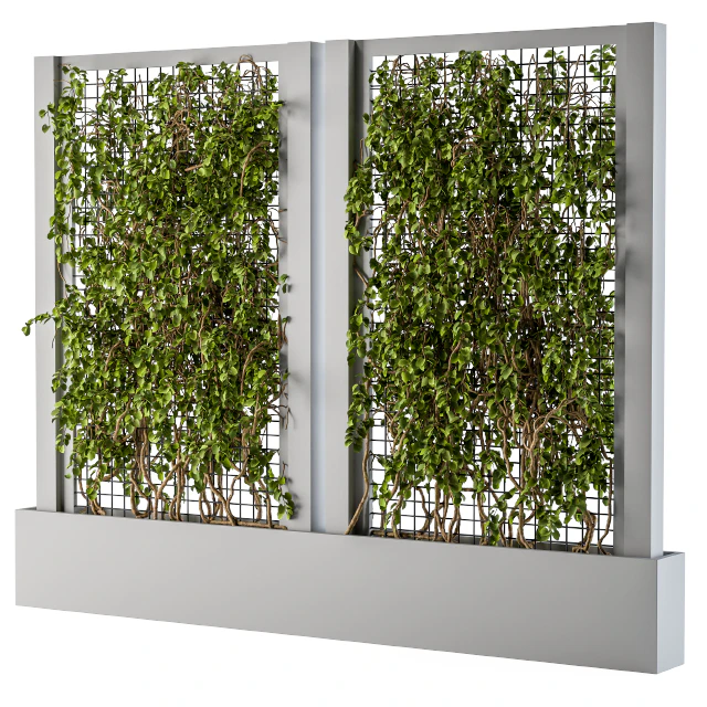 ivy Box Plants Gray — Descargar