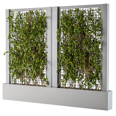 ivy Box Plants Gray — Ver 1