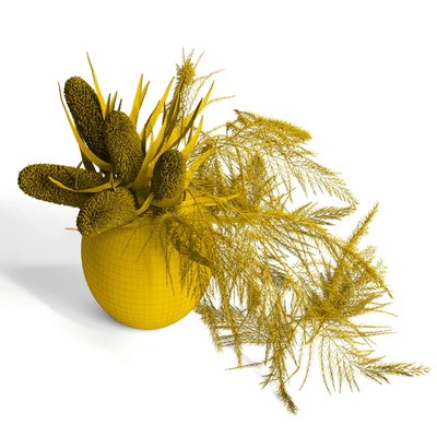 Dry banksia and fern — Ver 3