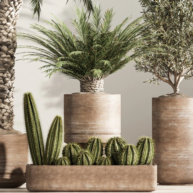 indoor plant set 36 — Скачать