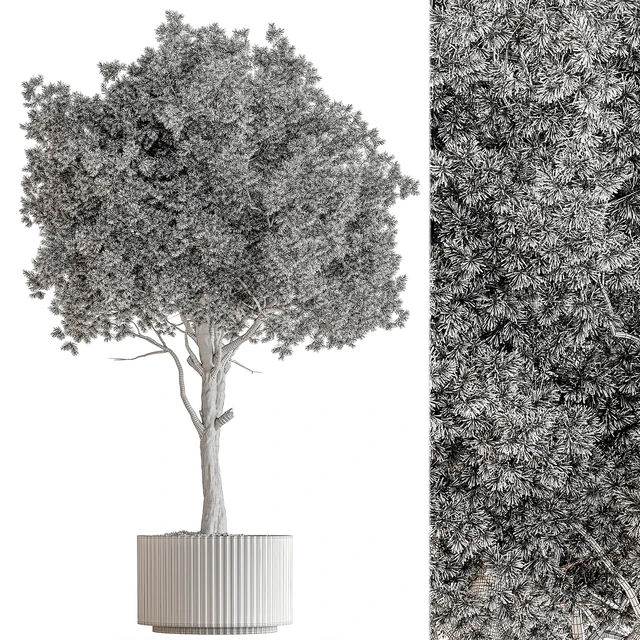 Indoor Plant 657 - Pink Tree — Скачать