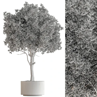 Indoor Plant 657 - Pink Tree — Вид 3