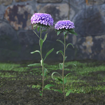garden flowers 001 — Скачать