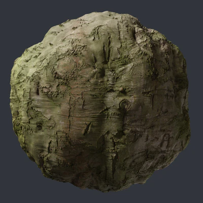 beech bark 002 — Descargar