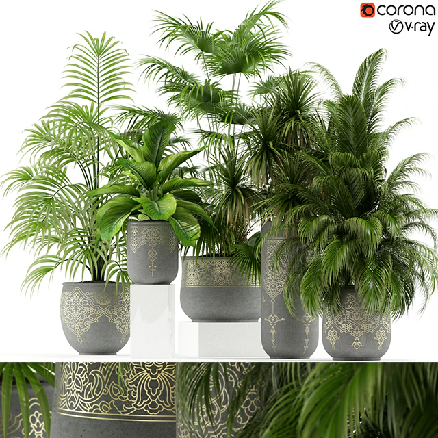 Plants collection 147 handmade pots East style — Descargar