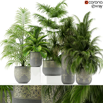 Plants collection 147 handmade pots East style — Ver 1