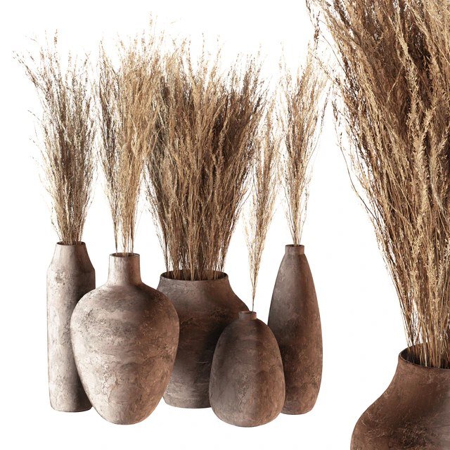 Indoor plants 01 - Pampas set in Pottery Pots — Descargar