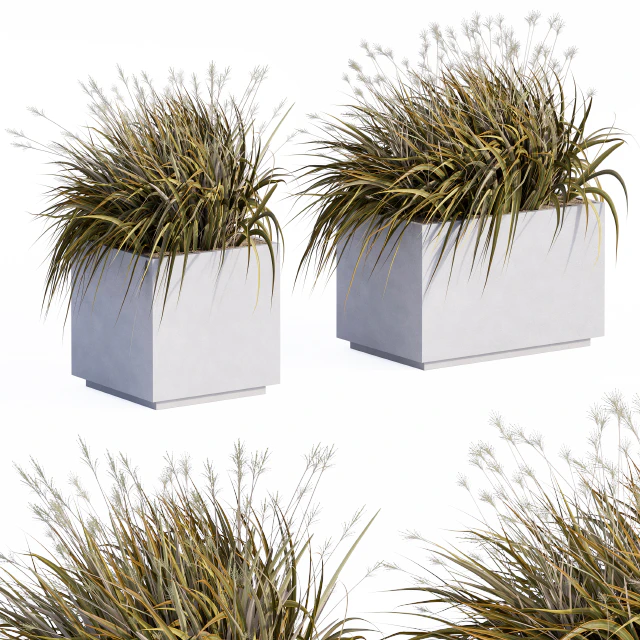 Concrete Plants Box — Скачать