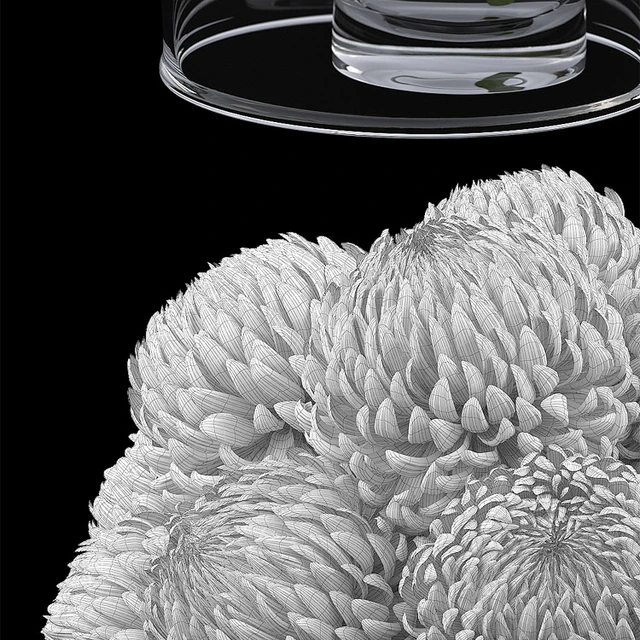 Chrysanthemums 1 — Descargar