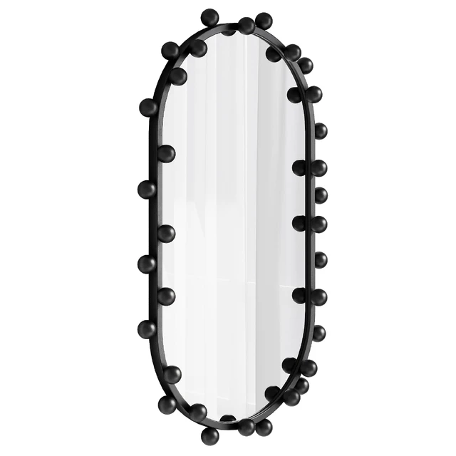 Hail Mirror by Rachel Donath — Скачать