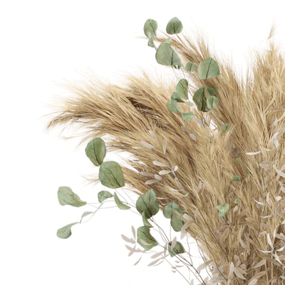 Dry plants 19 - Dried Plantset Pampas with Concrete vase — Ver 7