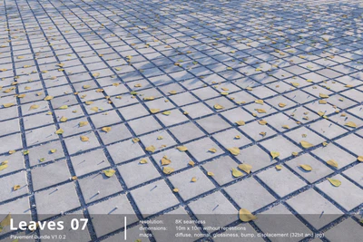leaves 007 — Descargar