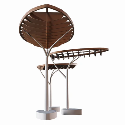 Modern Canopy — Вид 5