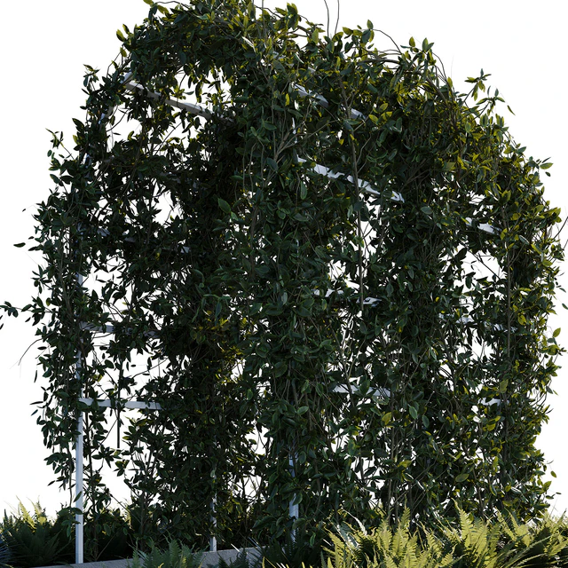 Outdoor plants01 — Скачать