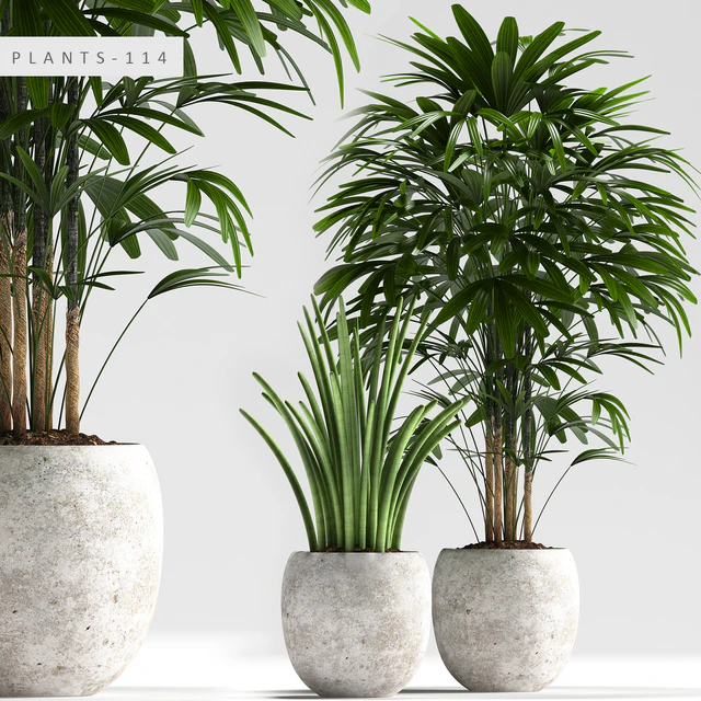 PLANTS 114 — Скачать