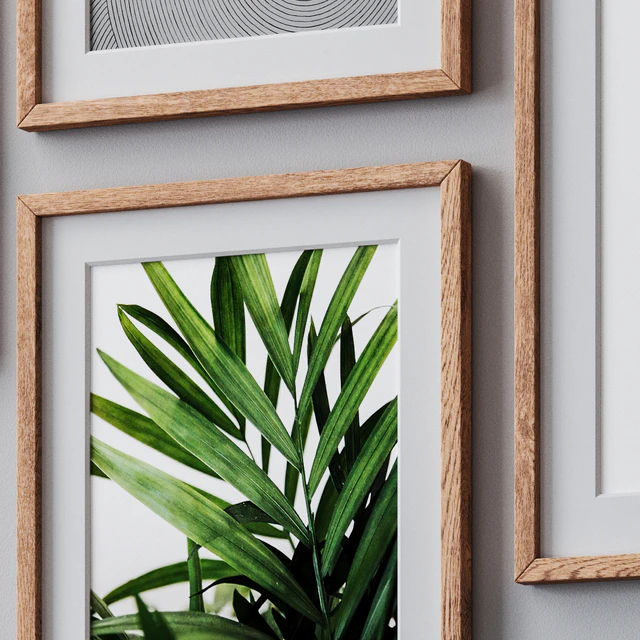 Photo Frames Set 1033 — Descargar
