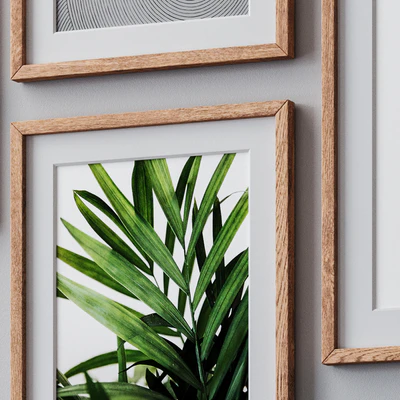 Photo Frames Set 1033 — Ver 3