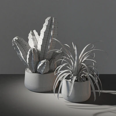 Set of plants 02 — Ver 2